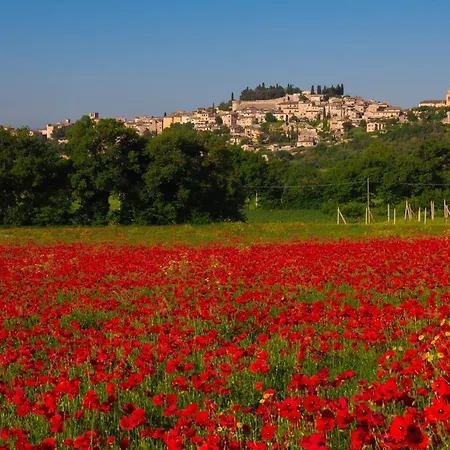 Da Lucilla Apartament