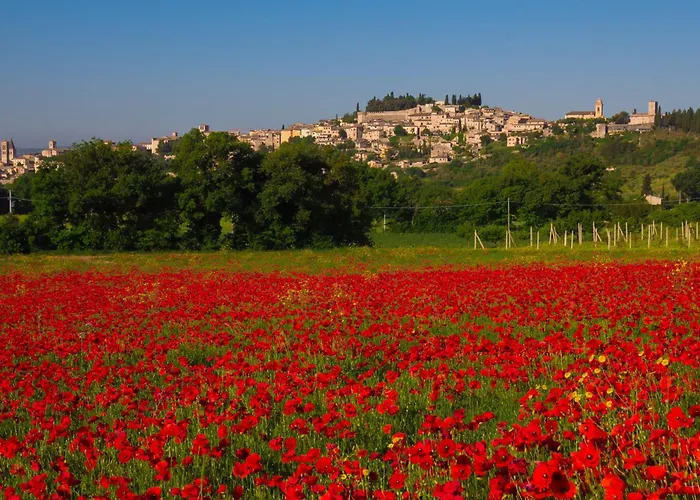 Da Lucilla Apartamento